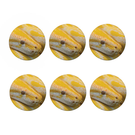 Yellow And White Python Snake Print Coaster Set