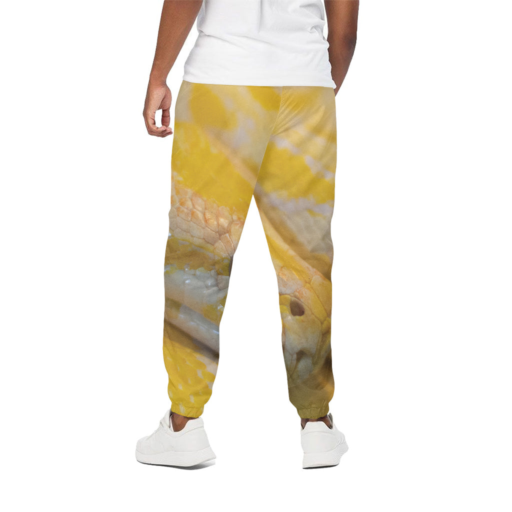Yellow And White Python Snake Print Cotton Pants