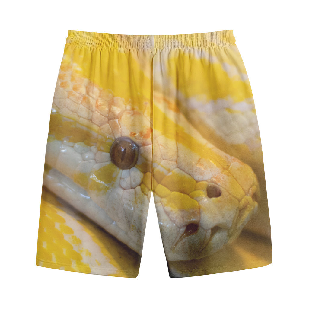Yellow And White Python Snake Print Cotton Shorts