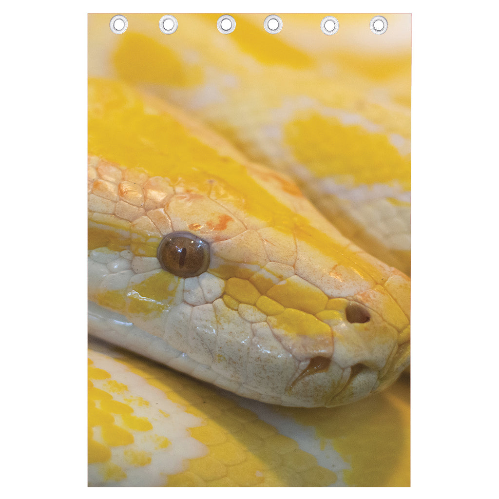 Yellow And White Python Snake Print Curtain