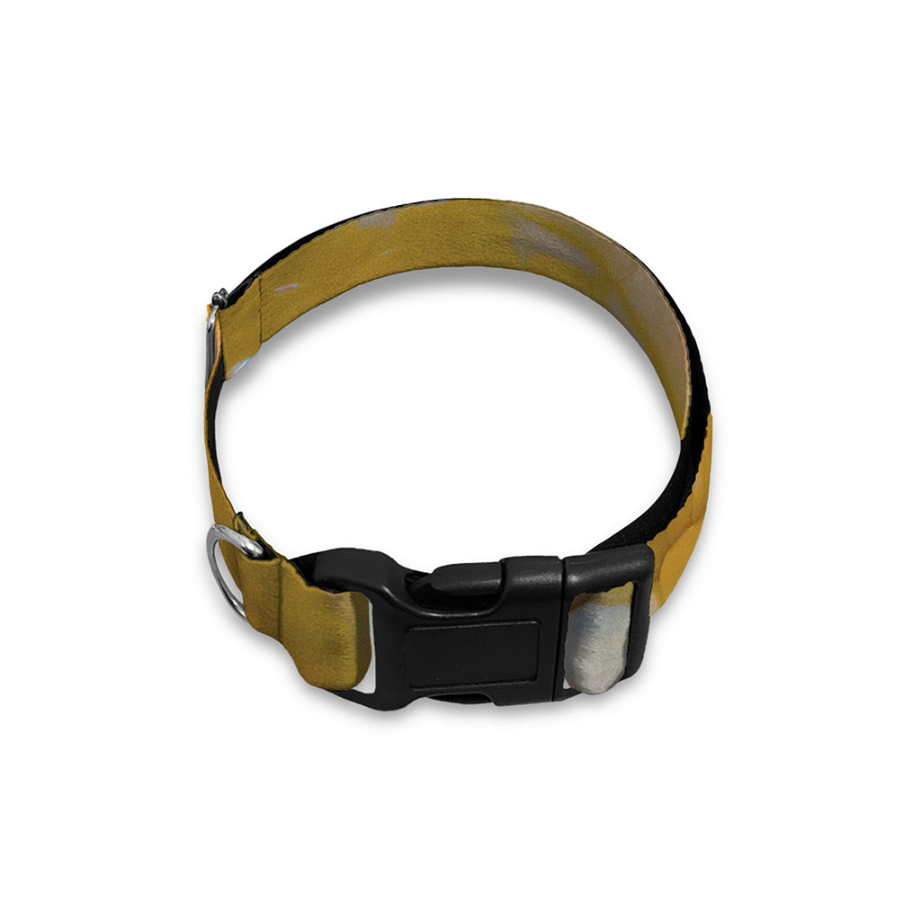 Yellow And White Python Snake Print Dog Collar