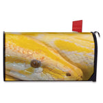 Yellow And White Python Snake Print Mailbox Cover