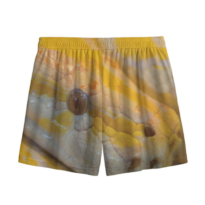 Yellow And White Python Snake Print Mesh Shorts