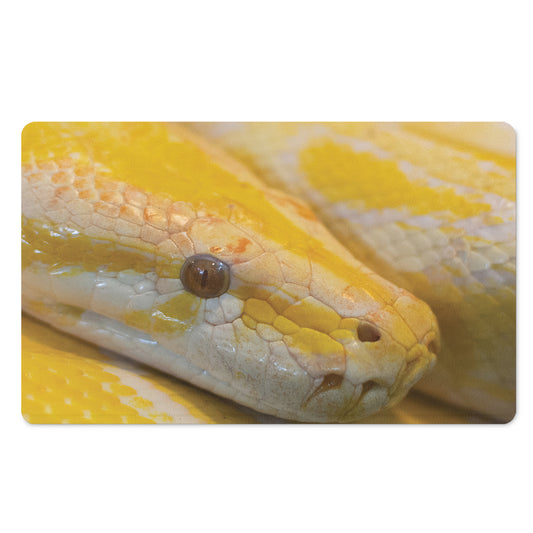 Yellow And White Python Snake Print Polyester Doormat