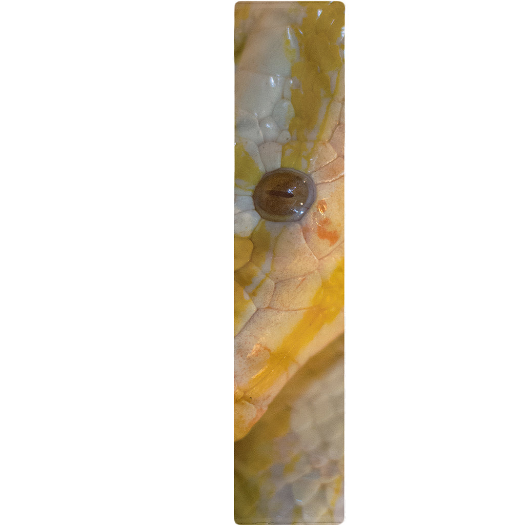 Yellow And White Python Snake Print Table Runner