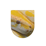 Yellow And White Python Snake Print Toilet Lid Cover