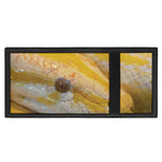 Yellow And White Python Snake Print Trifold Wallet