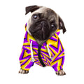 Yellow Big Bang Moving Optical Illusion Dog Zip Up Hoodie
