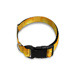 Yellow Cheese Print Dog Collar