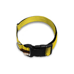 Yellow Coconut Pattern Print Dog Collar