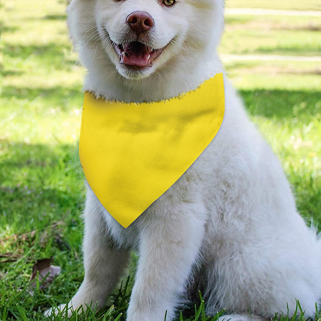 Yellow Coconut Pattern Print Over The Collar Dog Bandana