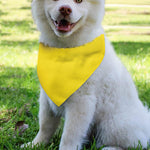 Yellow Coconut Pattern Print Over The Collar Dog Bandana