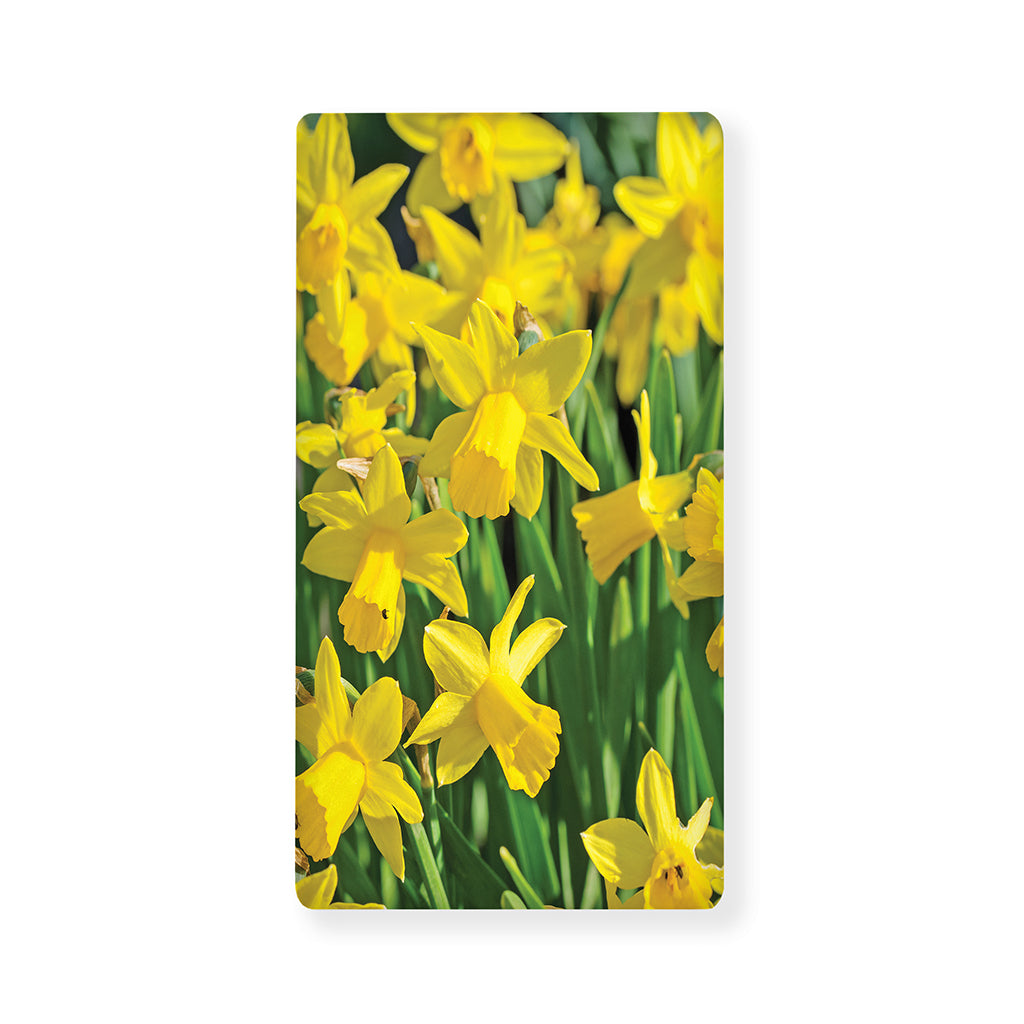 Yellow Daffodil Flower Print Baby Crib Sheet