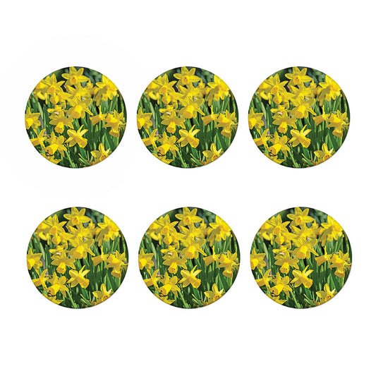 Yellow Daffodil Flower Print Coaster Set