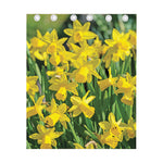 Yellow Daffodil Flower Print Curtain
