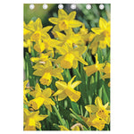 Yellow Daffodil Flower Print Curtain