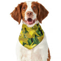 Yellow Daffodil Flower Print Dog Bandana