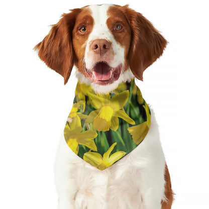 Yellow Daffodil Flower Print Dog Bandana