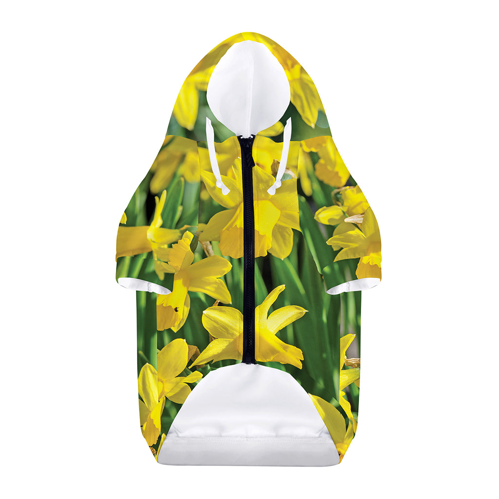Yellow Daffodil Flower Print Dog Zip Up Hoodie