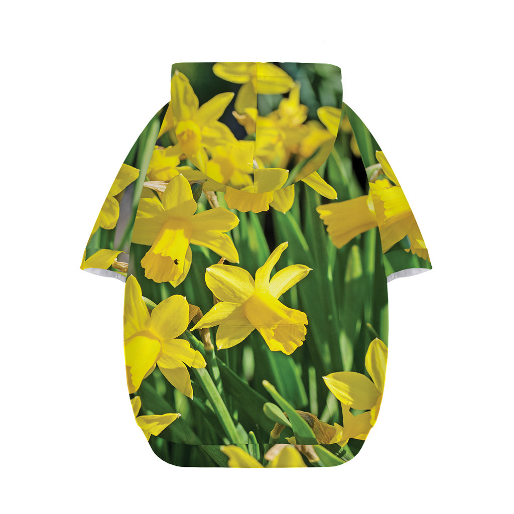Yellow Daffodil Flower Print Dog Zip Up Hoodie