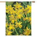 Yellow Daffodil Flower Print House Flag