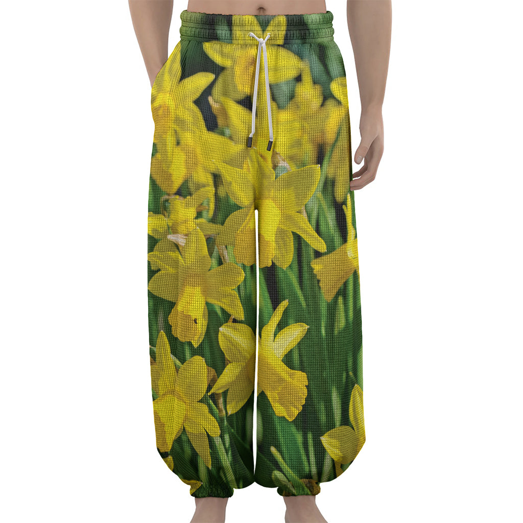 Yellow Daffodil Flower Print Lantern Pants