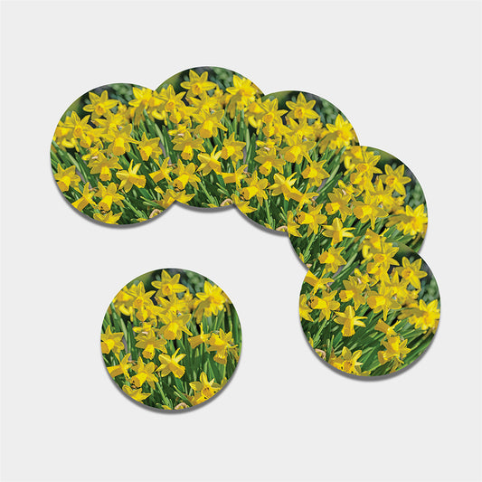 Yellow Daffodil Flower Print Leather Coaster Set