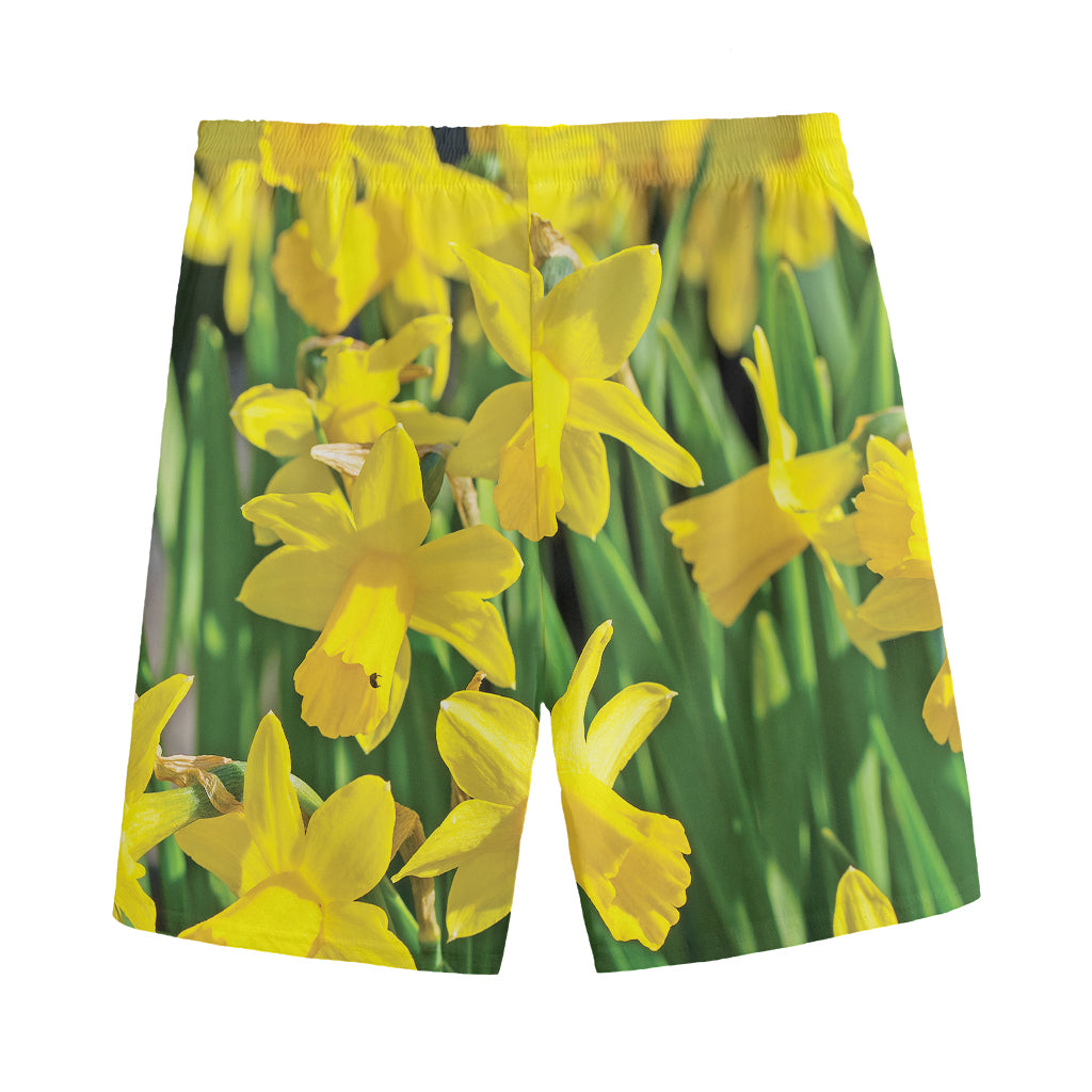 Yellow Daffodil Flower Print Men's Sports Shorts