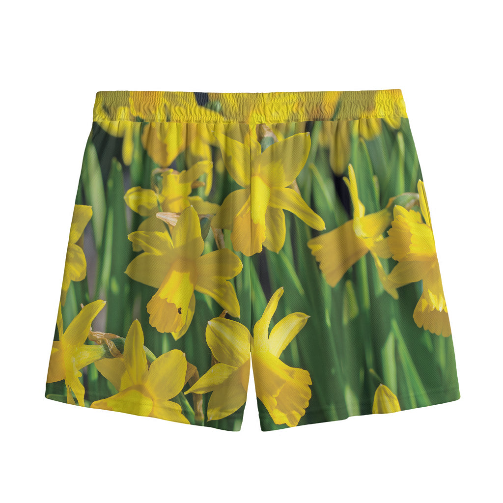Yellow Daffodil Flower Print Mesh Shorts