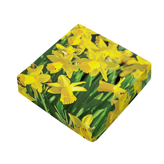 Yellow Daffodil Flower Print Outdoor Seat Cushion Cover