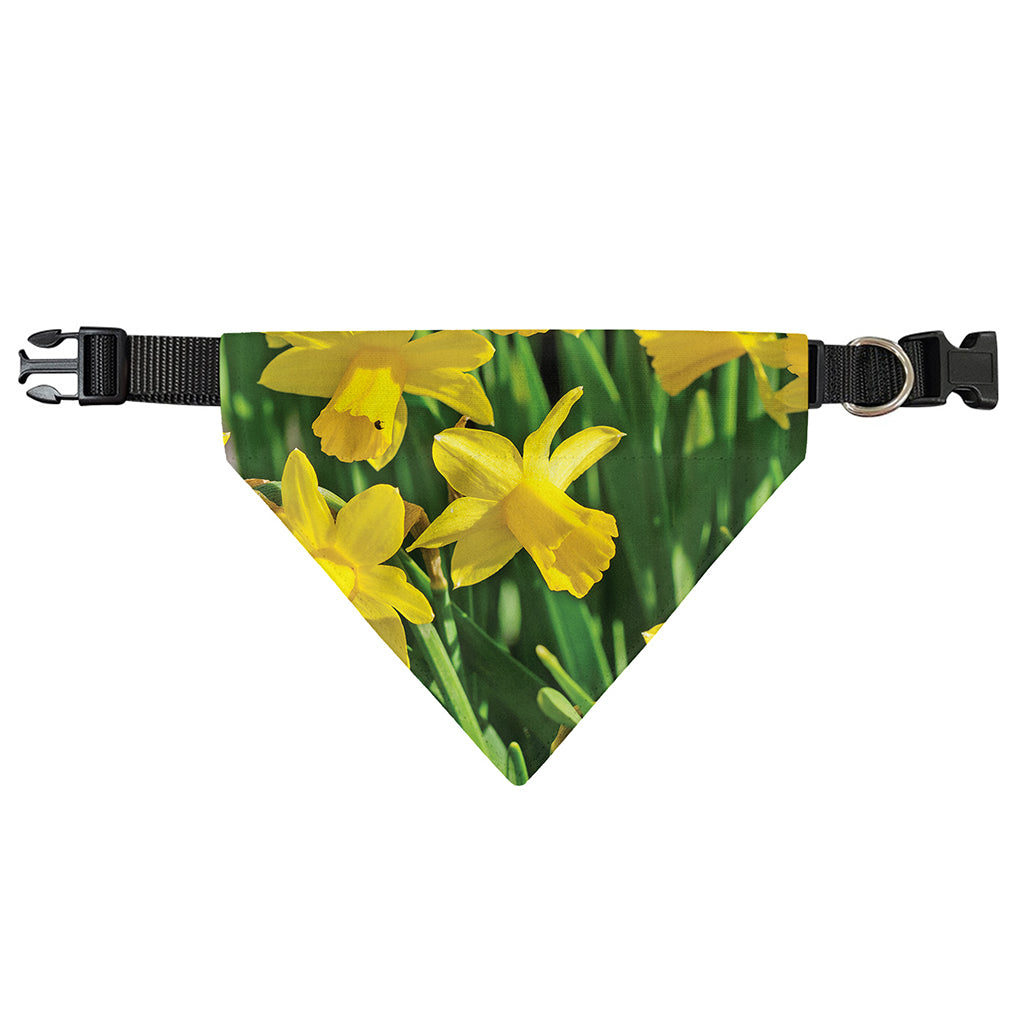 Yellow Daffodil Flower Print Over The Collar Dog Bandana