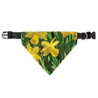 Yellow Daffodil Flower Print Over The Collar Dog Bandana