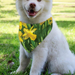 Yellow Daffodil Flower Print Over The Collar Dog Bandana