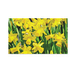 Yellow Daffodil Flower Print Polyester Flag