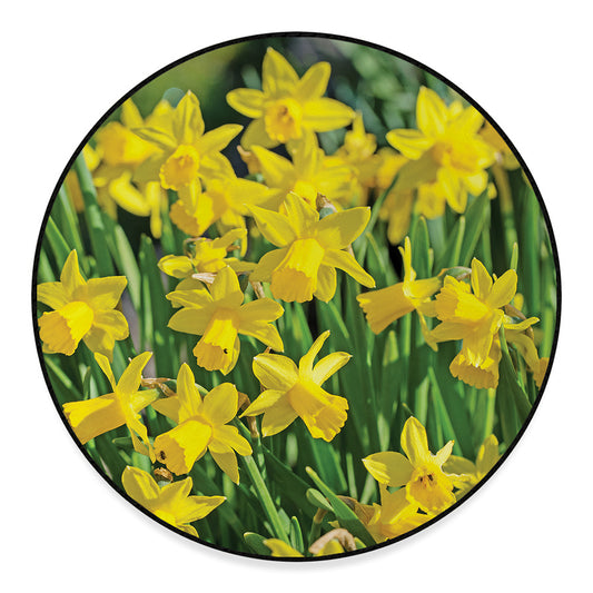 Yellow Daffodil Flower Print Round Floor Mat