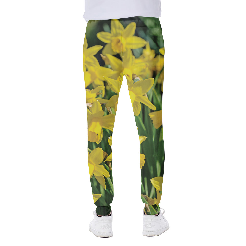Yellow Daffodil Flower Print Scuba Joggers