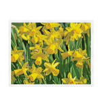 Yellow Daffodil Flower Print Sherpa Blanket
