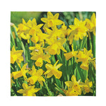 Yellow Daffodil Flower Print Silk Bandana