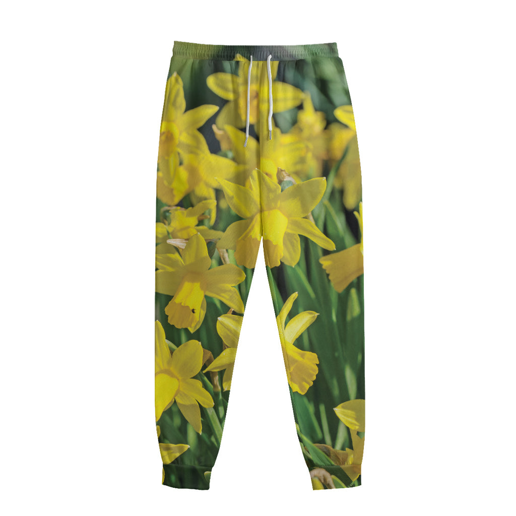 Yellow Daffodil Flower Print Sweatpants