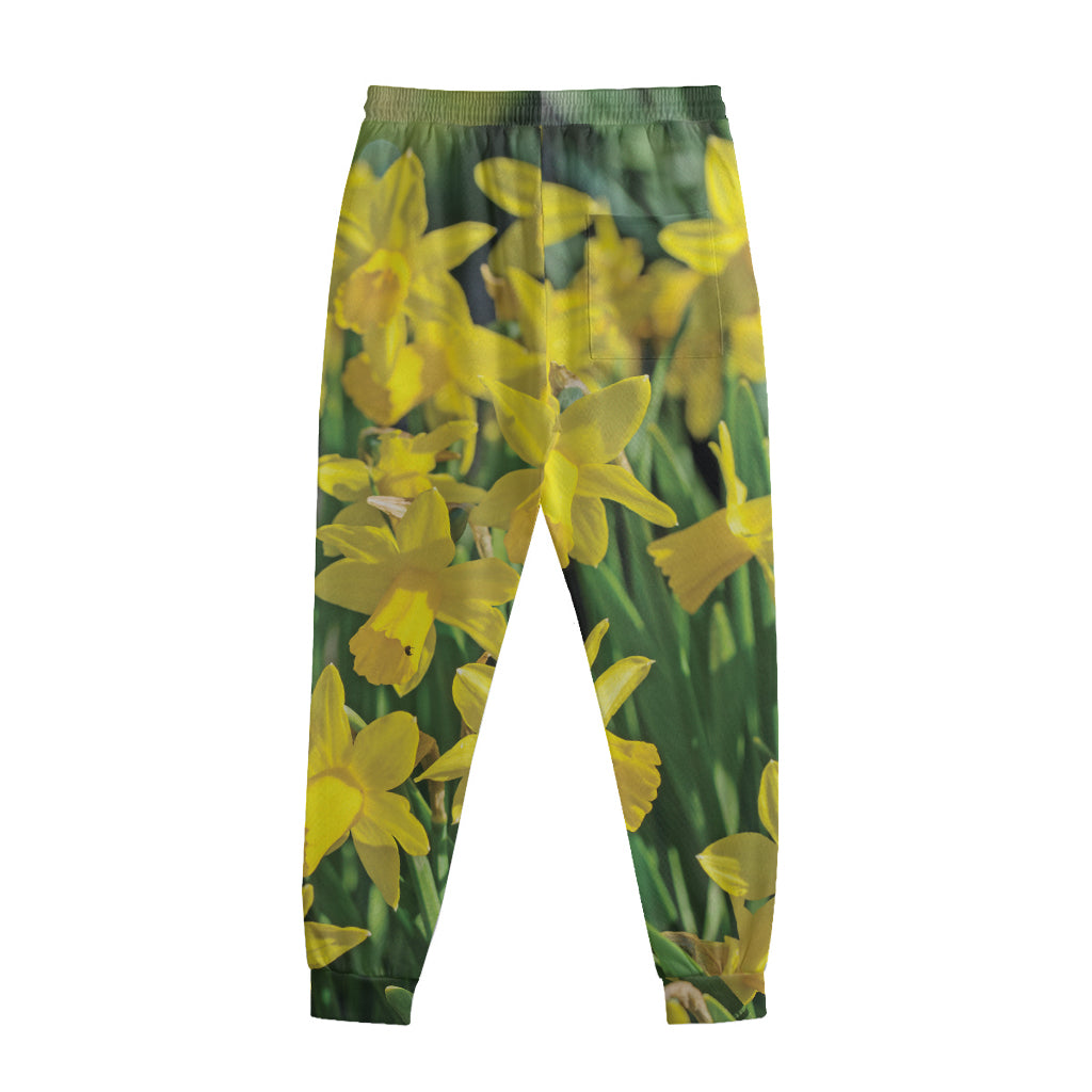 Yellow Daffodil Flower Print Sweatpants