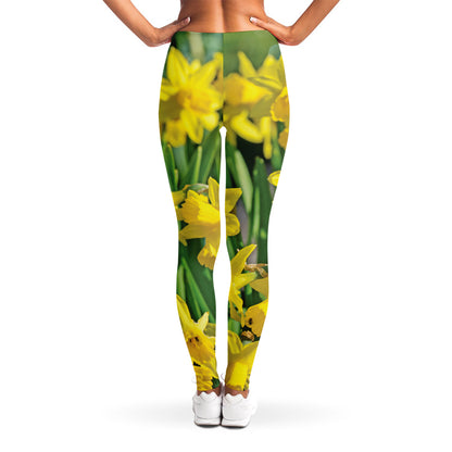 Yellow Daffodil Flower Print Women's Leggings