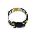 Yellow Daffodil Striped Pattern Print Dog Collar