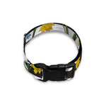 Yellow Daffodil Striped Pattern Print Dog Collar