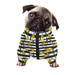 Yellow Daffodil Striped Pattern Print Dog Zip Up Jacket