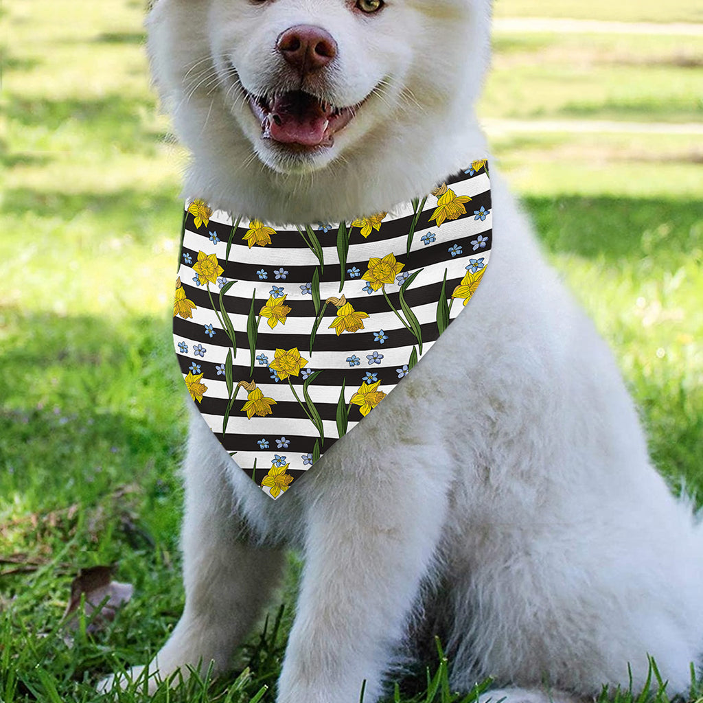 Yellow Daffodil Striped Pattern Print Over The Collar Dog Bandana