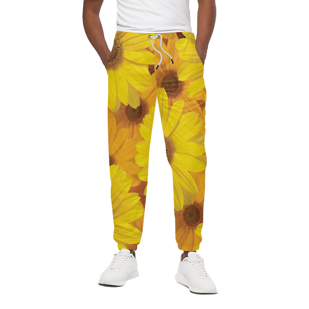 Yellow Daisy Flower Print Cotton Pants