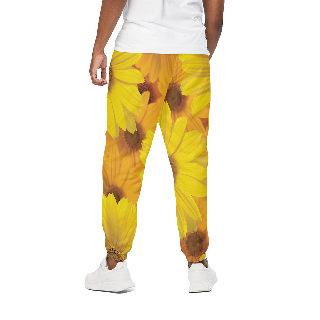 Yellow Daisy Flower Print Cotton Pants