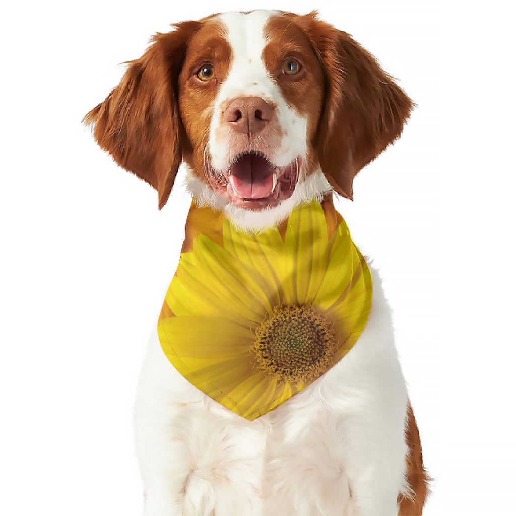 Yellow Daisy Flower Print Dog Bandana