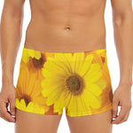 Yellow Daisy Flower Print Men's Short Boxer Briefs