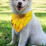 Yellow Daisy Flower Print Over The Collar Dog Bandana